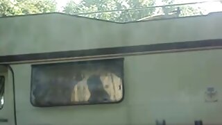 فش نیٹ جرابیں میں سی ...