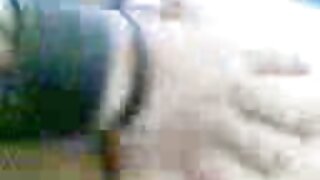 بولڈ ایشین چوزہ حنا  ...